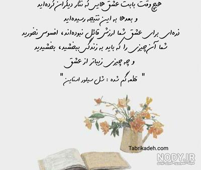 عکس نوشته های نرگس صرافیان ❤️ [ بهترین تصاویر ]