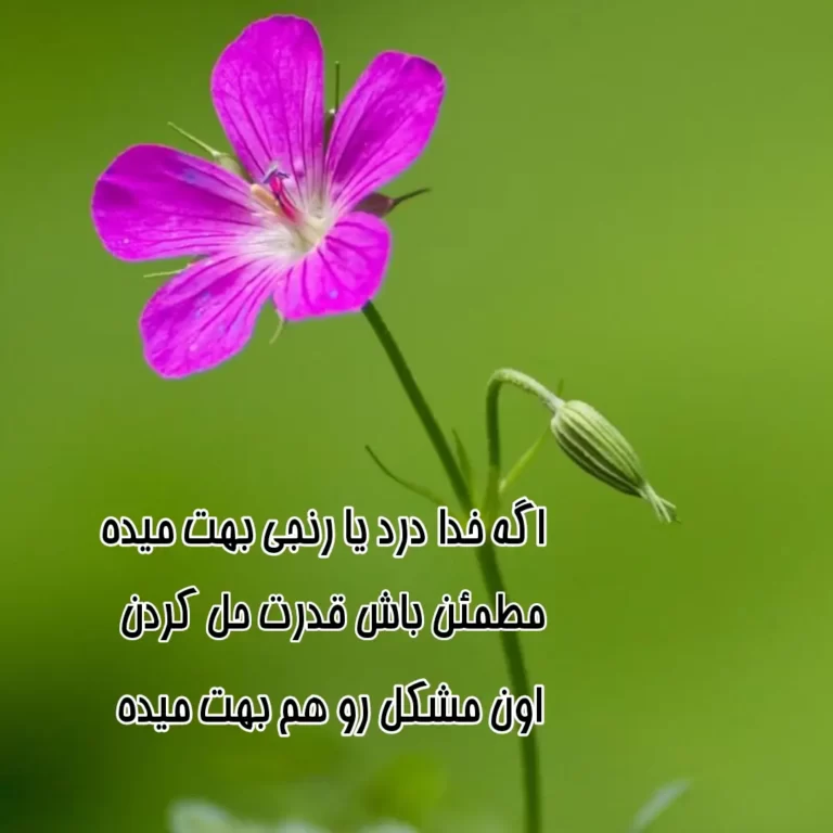عکس پروفایل خدا - دلی ها عکس پروفایل خدا - دلی ها