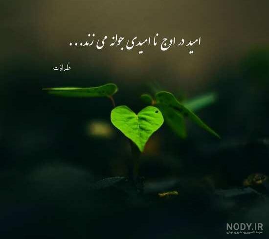 عکس نوشته ی فلسفی زیبا