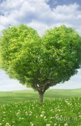 عکس پس زمینه ساده و زیبا قلب عکس پس زمینه ساده و زیبا قلب