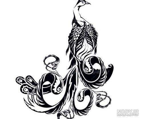وکتور پترن چاپی روی پارچه طرح طاووس
