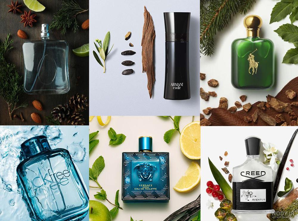 9 عطر تلخ و خنک مردانه با ماندگاری بالا | فروشگاه آرانیکا