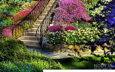 زیباترین تصاویر از طبیعت مهر 1395