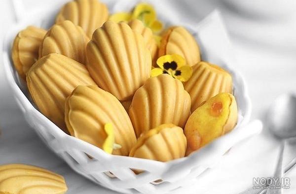 طرز تهیه شیرینی صدفی ساده و خوشمزه فرانسوی