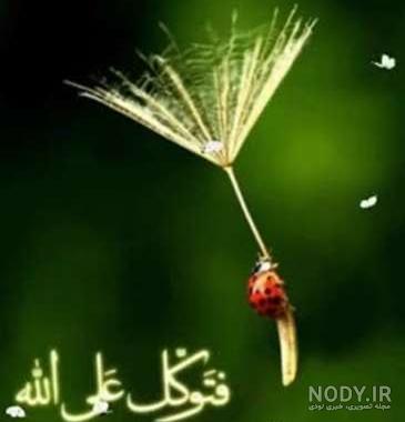 عکس الله متحرک جدید