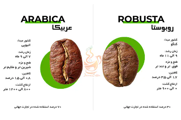 عکس قهوه روبوستا