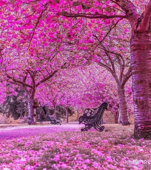 عکس منظره + عکس نوشته و تصاویر بدون نوشته منظره برای پروفایل و استوری