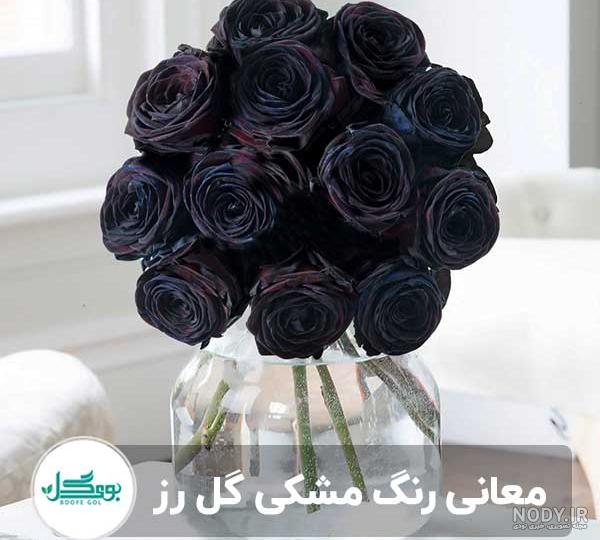عکس پروفایل گل رز مشکی عکس پروفایل گل رز مشکی