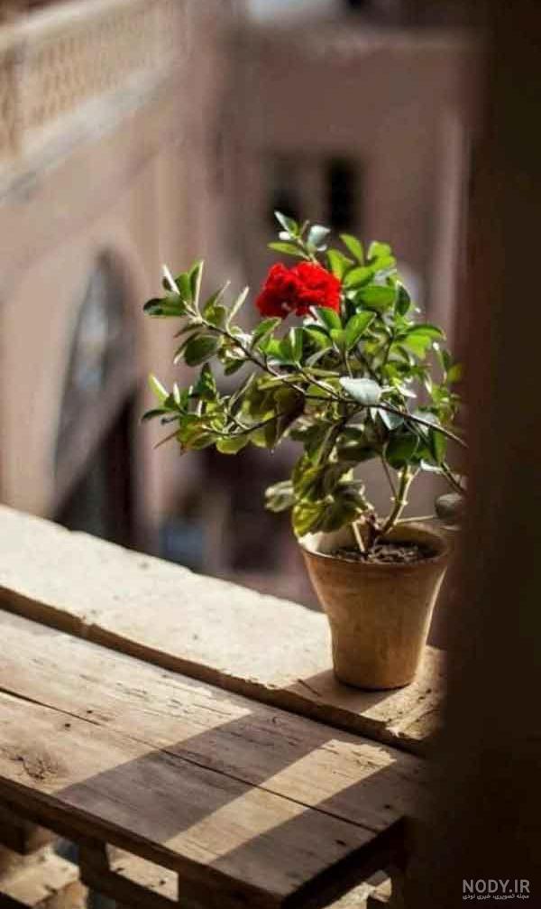 عکس کلاسیک برای پروفایل دخترانه و پسرانه عکس کلاسیک برای پروفایل دخترانه و پسرانه