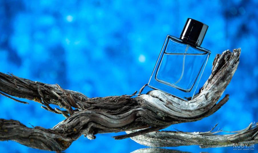 پرفروش ترین عطرهای خنک و ملایم زنانه + نقد و بررسی کامل