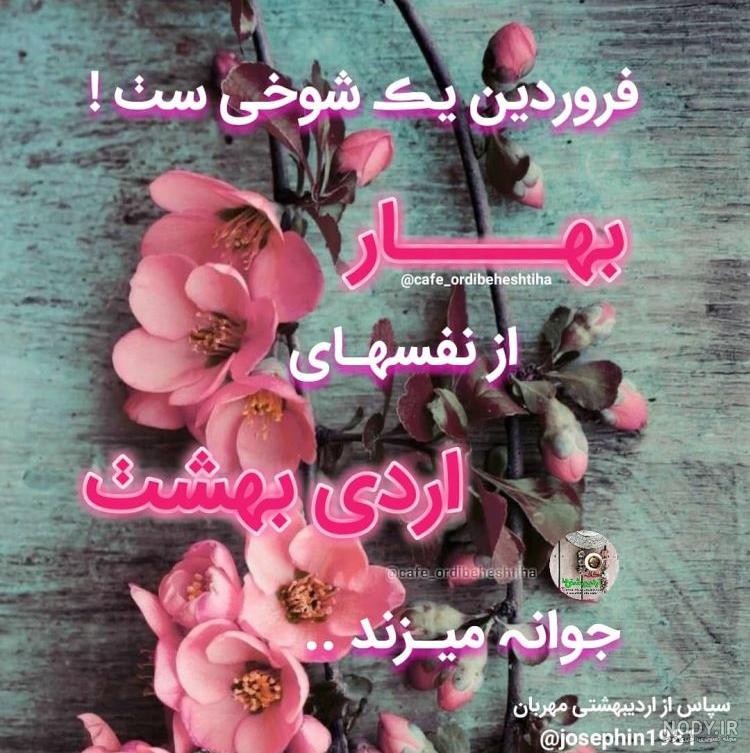 عکس اردیبهشت ماهی ها
