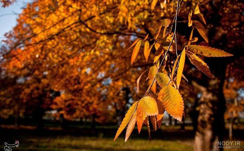 عکس از طبیعت زیبا پاییز ۱۴۰۰ - عکس نودی