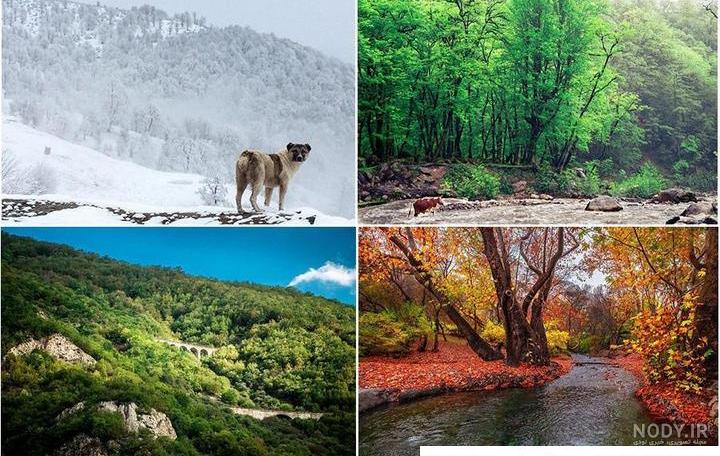 عکس طبیعت ایران واقعی