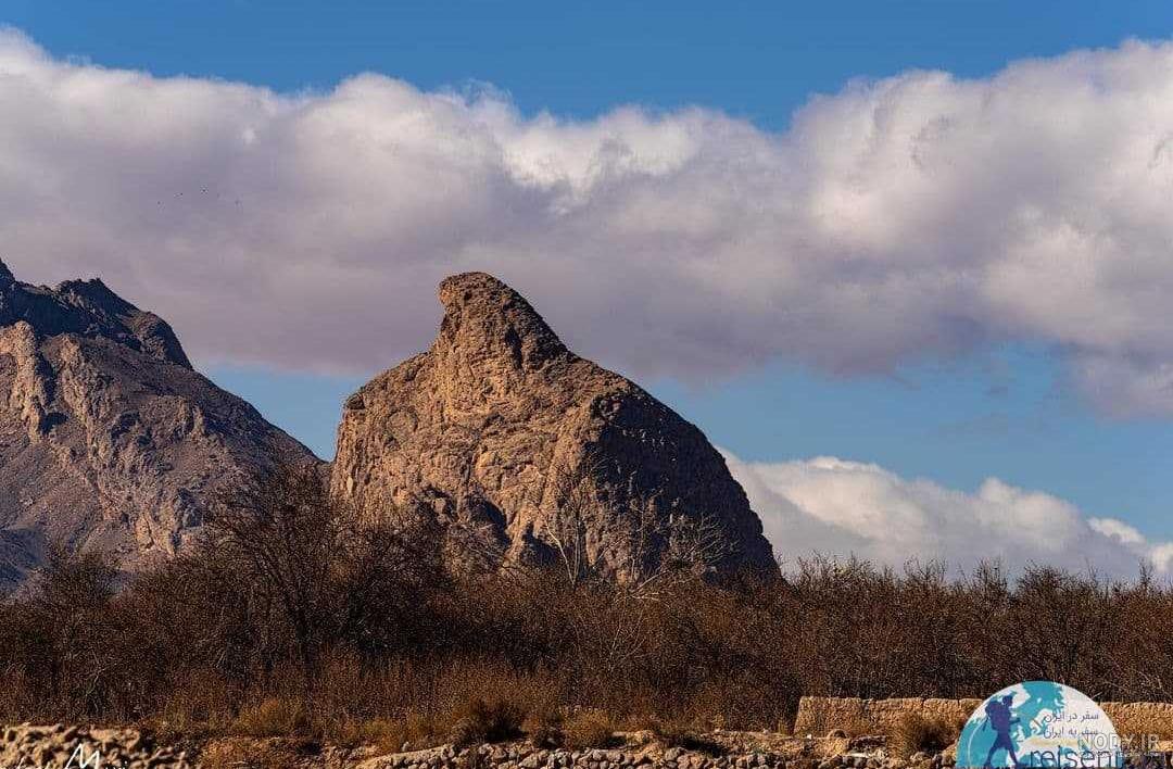 عکس عقاب کوه