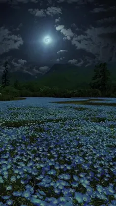 عکس شب فول اچ دی