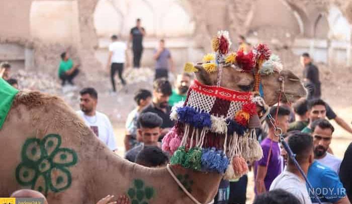 عکس: محمدرضا پهلوی با سبیل بعد از ترور 15 بهمن 1327