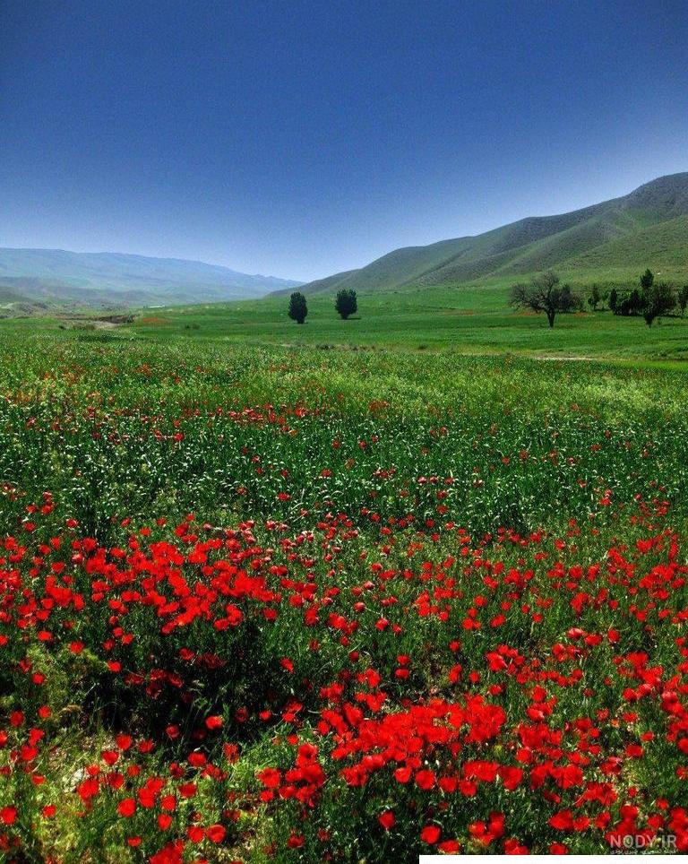 عکس واقعی ایران باستان