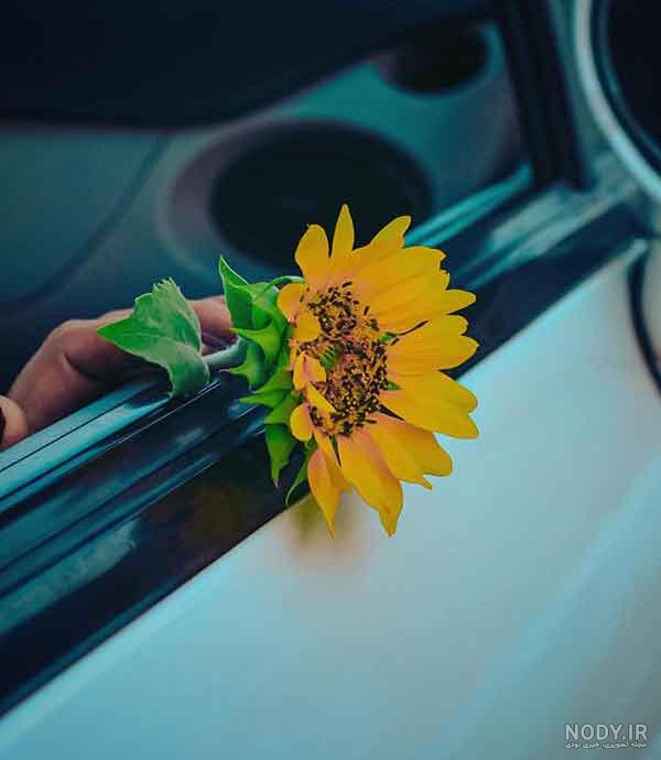 عکس کیوت فانتزی دخترانه اکلیلی برای پروفایل