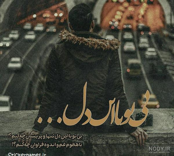 عکسهای خسرو شکیبایی و خانواده اش - عکس نودی
