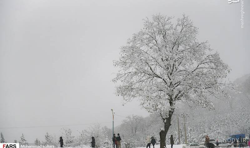 30 عکس زمستان زیبا❄️دانلود عکس زمستان برفی با کیفیت بالا 30 عکس زمستان زیبا❄️دانلود عکس زمستان برفی با کیفیت بالا