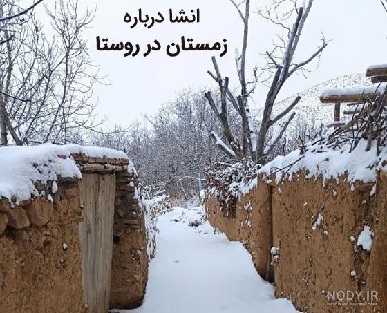 جنگل فندقلو در محدوده اردبیل و گیلان به ثبت رسیده است - روستا نیوز