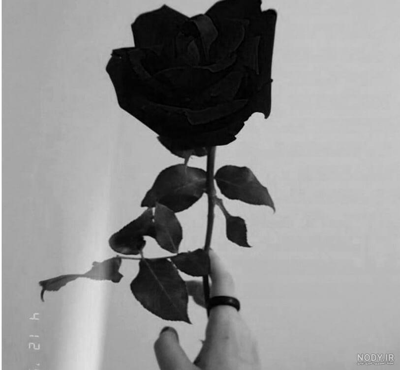 عکس مشکی دخترونه برای پروفایل
