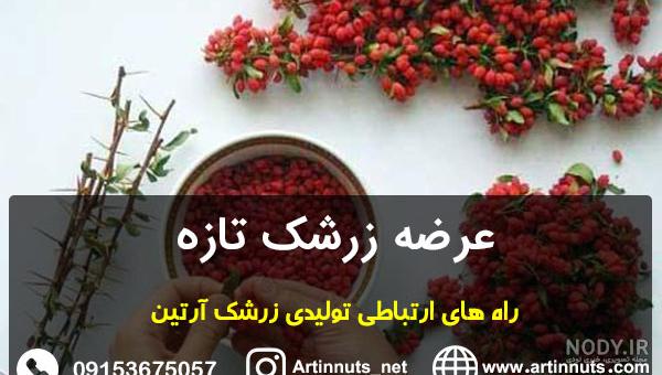 عکس درخت زرشک پلویی - عکس نودی عکس درخت زرشک پلویی - عکس نودی