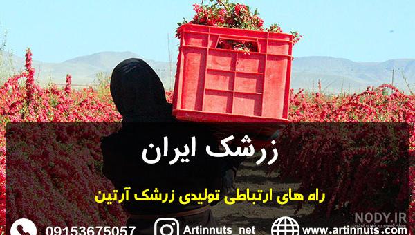 عکس زرشک ابی - عکس نودی عکس زرشک ابی - عکس نودی
