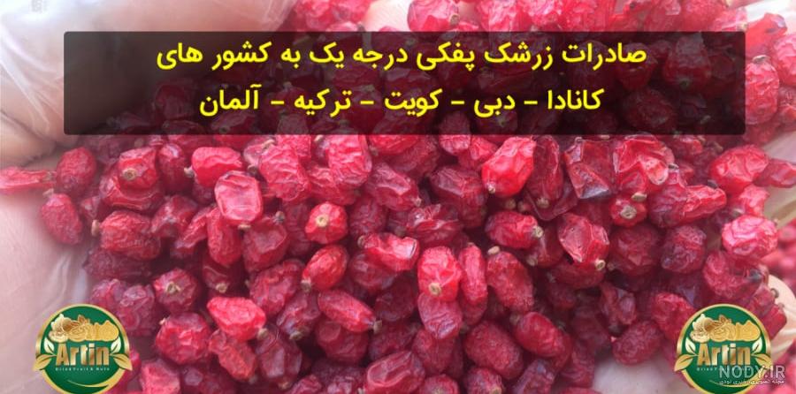 عکس زرشک هندی - عکس نودی عکس زرشک هندی - عکس نودی