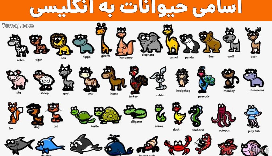 پادشاه رنگ ها در دکوراسیون | فن و هنر