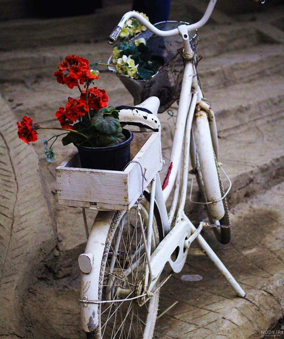 عکس پروفایل دوچرخه و گل