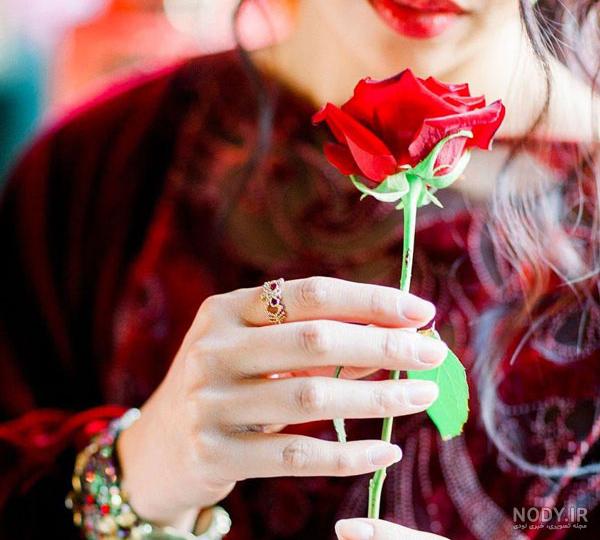 50 عکس گل و پروفایل گل زیبا برای واتساپ و تلگرام - Tjoor