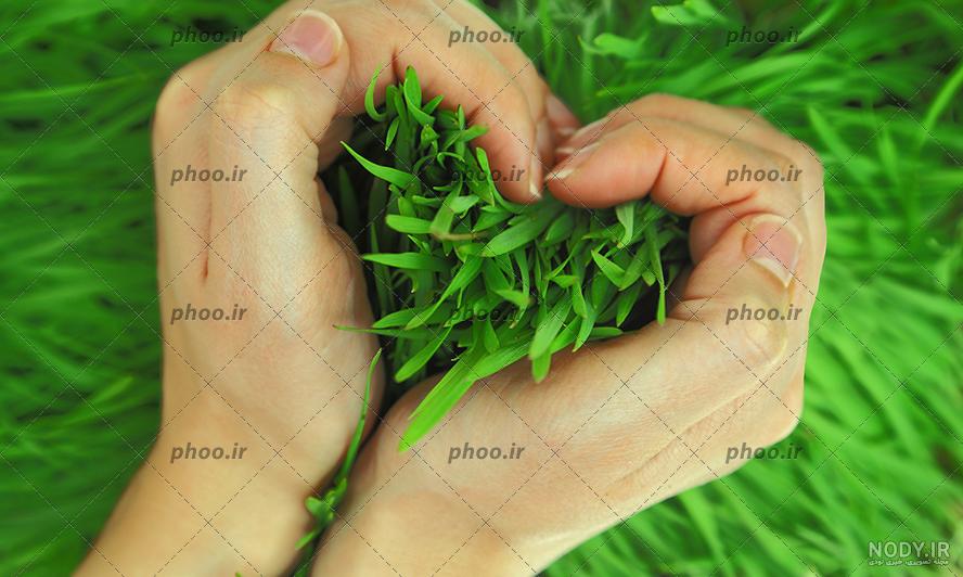 آموزش جعبه های کادویی آموزش جعبه های کادویی