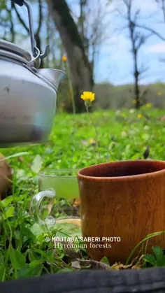 دانلود تصویر شعله های آتش در تاریکی شب | تیک طرح مرجع گرافیک ایران دانلود تصویر شعله های آتش در تاریکی شب | تیک طرح مرجع گرافیک ایران