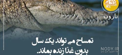 عکس جالب علمی