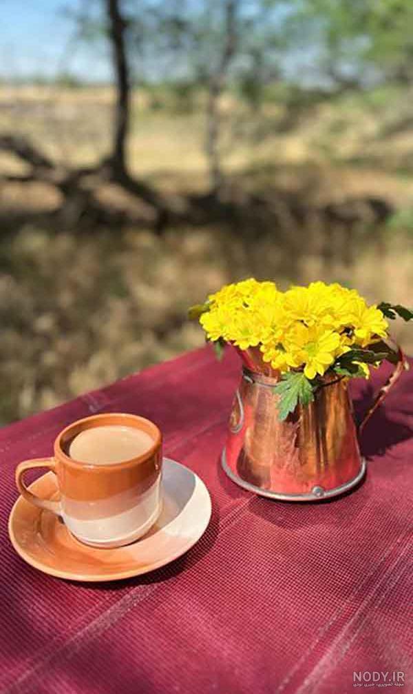 عکس دسته گل ولنتاین شیک خوشگل 100 مدل گل مختلف برای تقدیم به عشق!