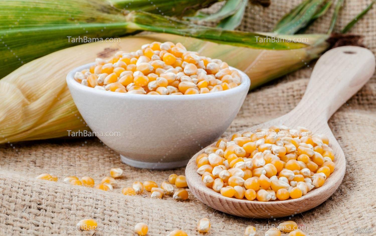 عکس ذرت - گرافیک با طعم تربچه - طرح لایه باز عکس ذرت - گرافیک با طعم تربچه - طرح لایه باز