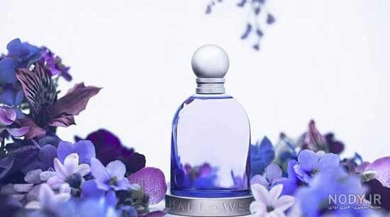 عکس عطر و ادکلن با کیفیت بالا - عکس نودی