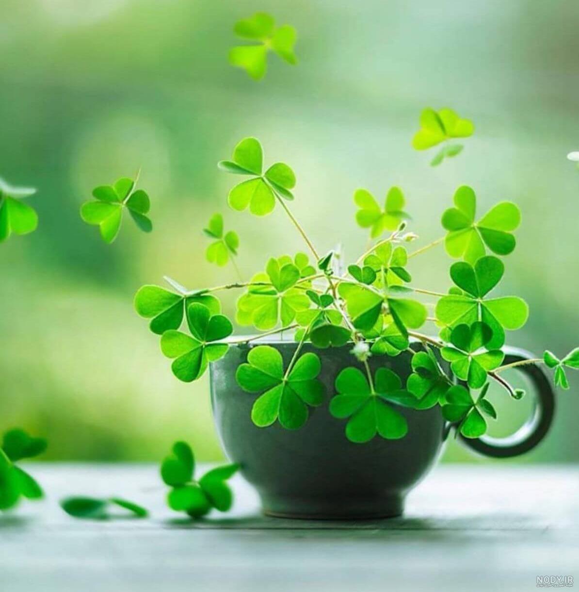 عکس نوشته انرژی مثبت و حال خوب عکس نوشته انرژی مثبت و حال خوب