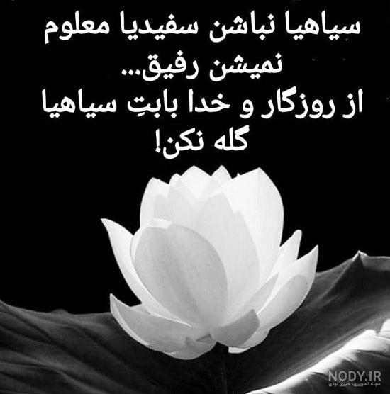 عکس پروفایل غمگین گل - عکس نودی عکس پروفایل غمگین گل - عکس نودی