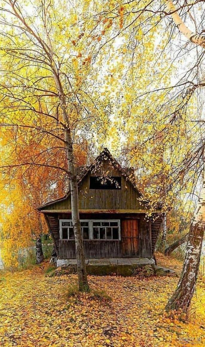 عکس کلبه پاییز