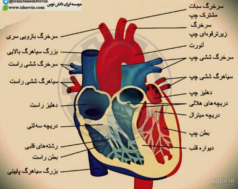 وکتور جعبه کادو هدیه باز شده با قلب های صورتی، پس زمینه قلبهای بزرگ و ... وکتور جعبه کادو هدیه باز شده با قلب های صورتی، پس زمینه قلبهای بزرگ و ...