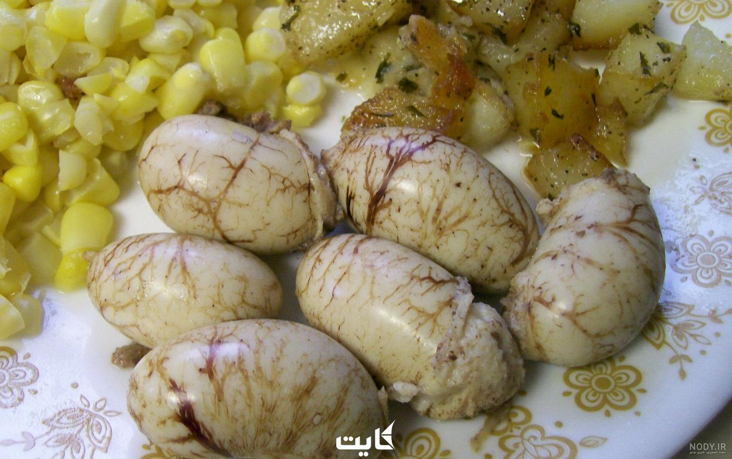 چندش‌ترین غذاهای چینی | لیست 10 غذای چندش‌آور کشور چین | کایت