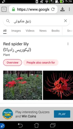 The Untamed :: من و مری The Untamed :: من و مری