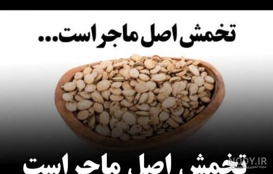 آناتومی پوست – به زبان ساده + ساختار و لایه های اصلی – فرادرس - مجله‌