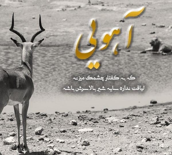 آهنگ آهو از حمید هیراد - اجرای زنده