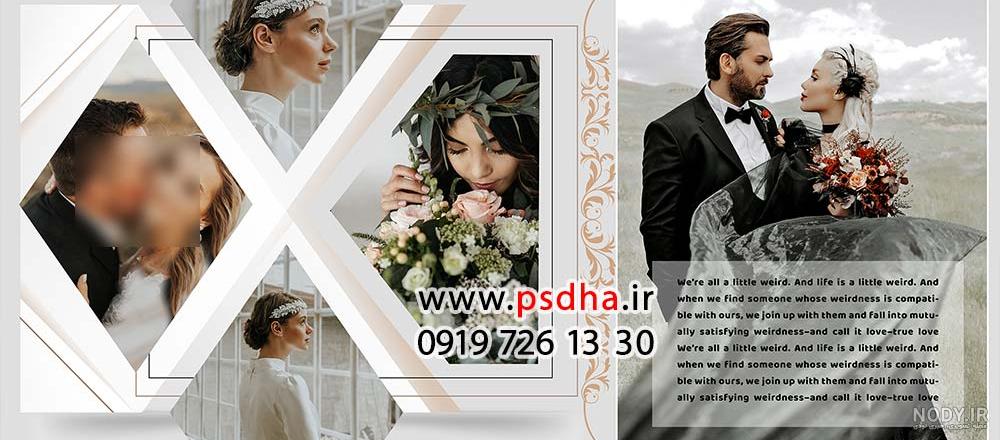 انواع مدل های کیک جدید و جالب برای تولد تیر ماهی ها
