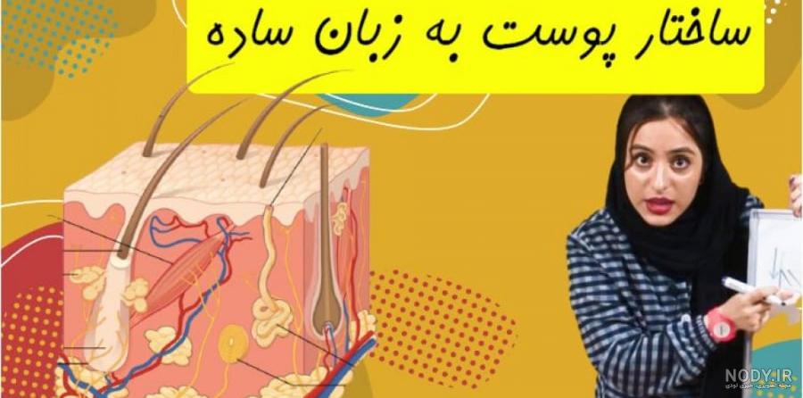 ساختار پوست چگونه است؟