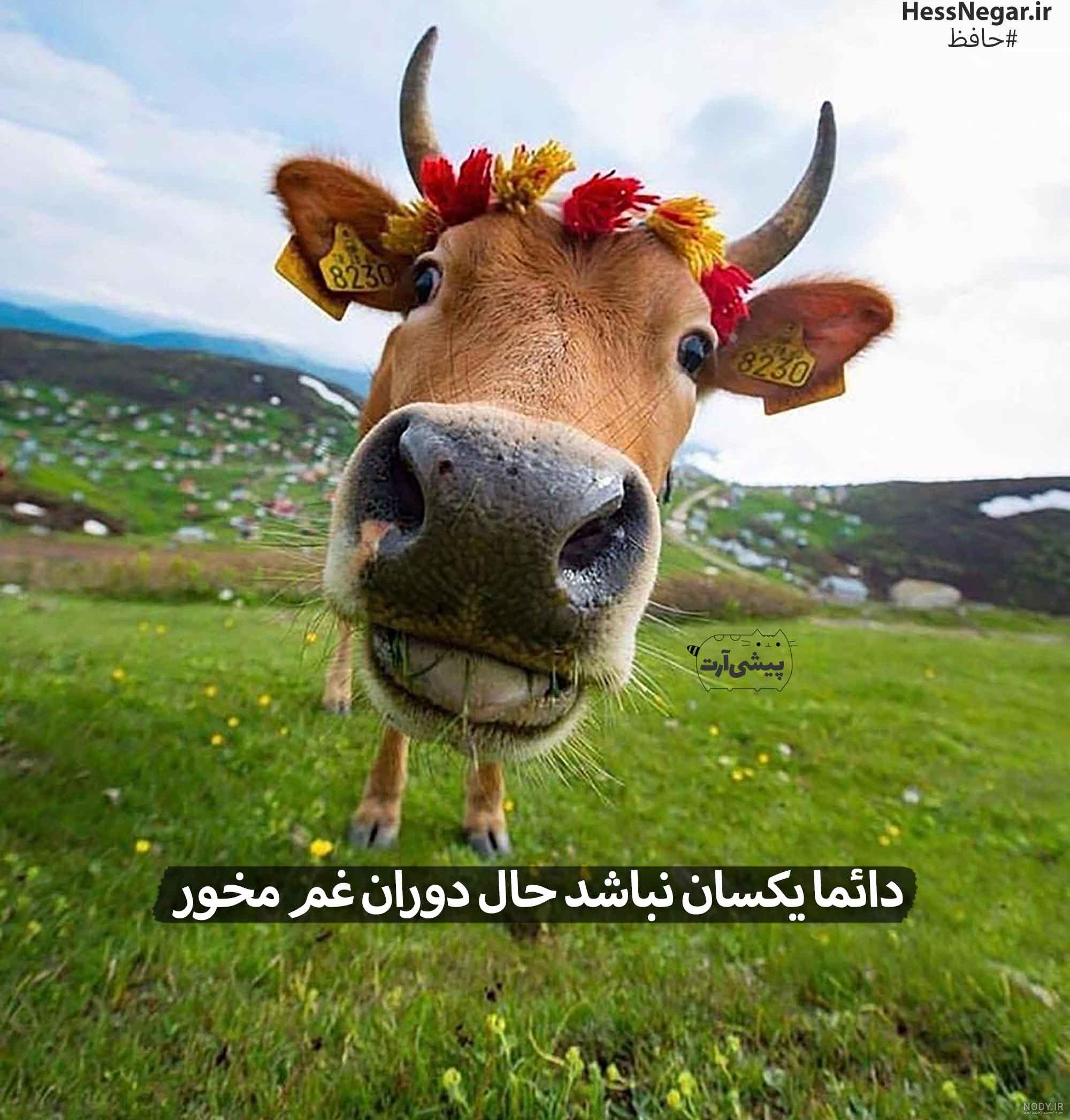 عاشق شو - آخوند باحال