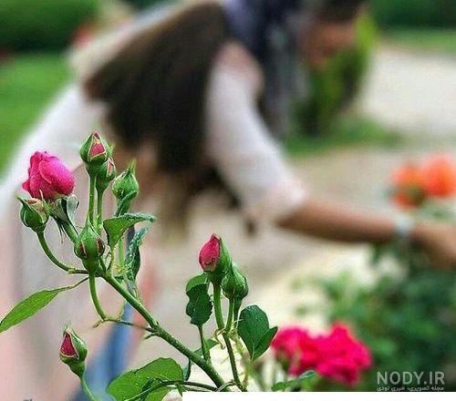 عکس زیبای پروفایل بدون متن - عکس نودی